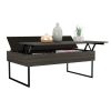 DEPOT E-SHOP Ocean Lift Top Coffee Table, Two Legs, Two Shelves, Carbon Espresso